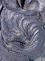Kilauea Abstracts 007 Copyright Villayat Sunkmanitu